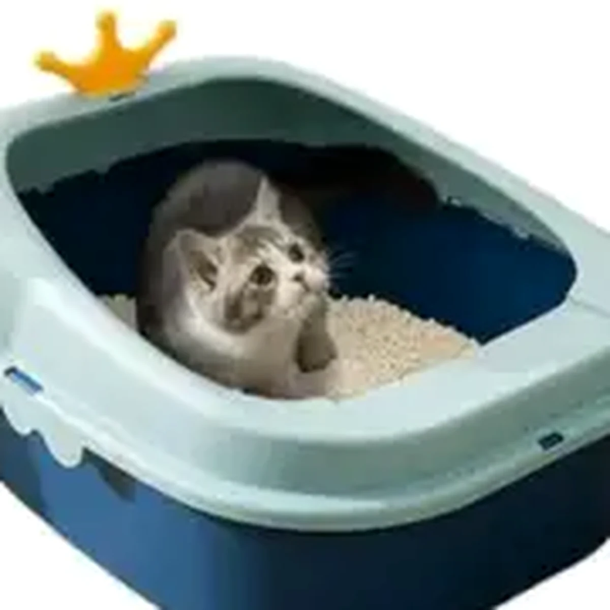 Arenero Semi Cerrado Grande para Gato — foto 3