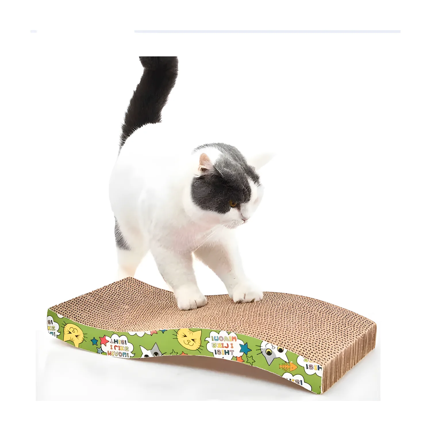 Rascador de Cartón Ondulado para Gato